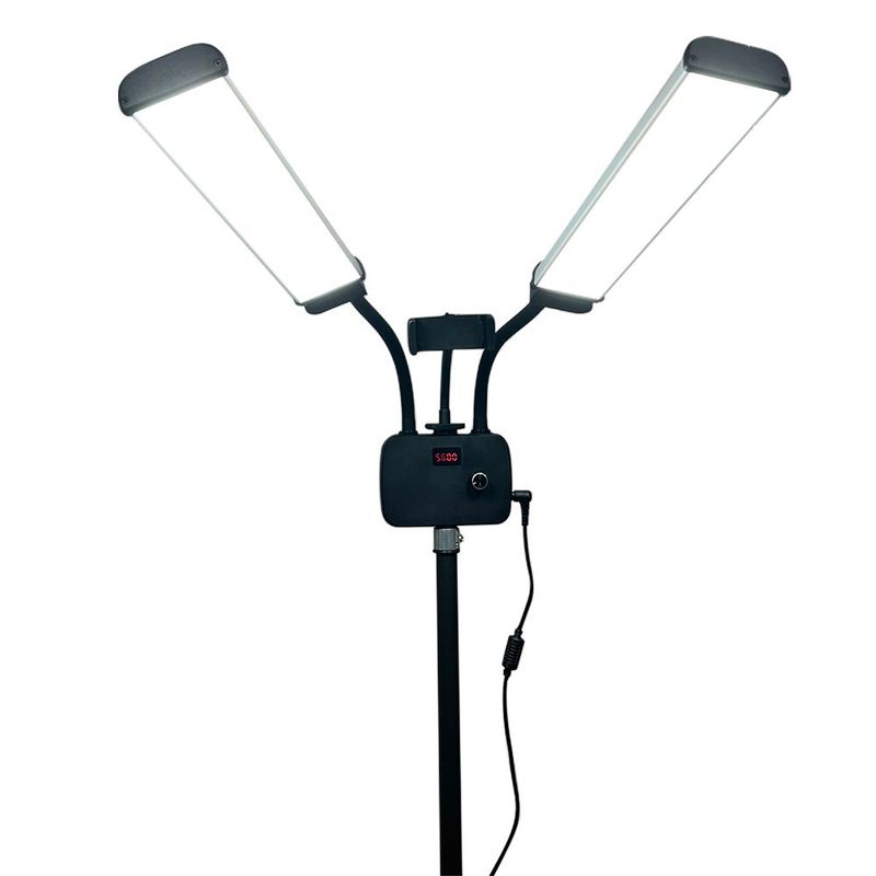 Dual Arm Light