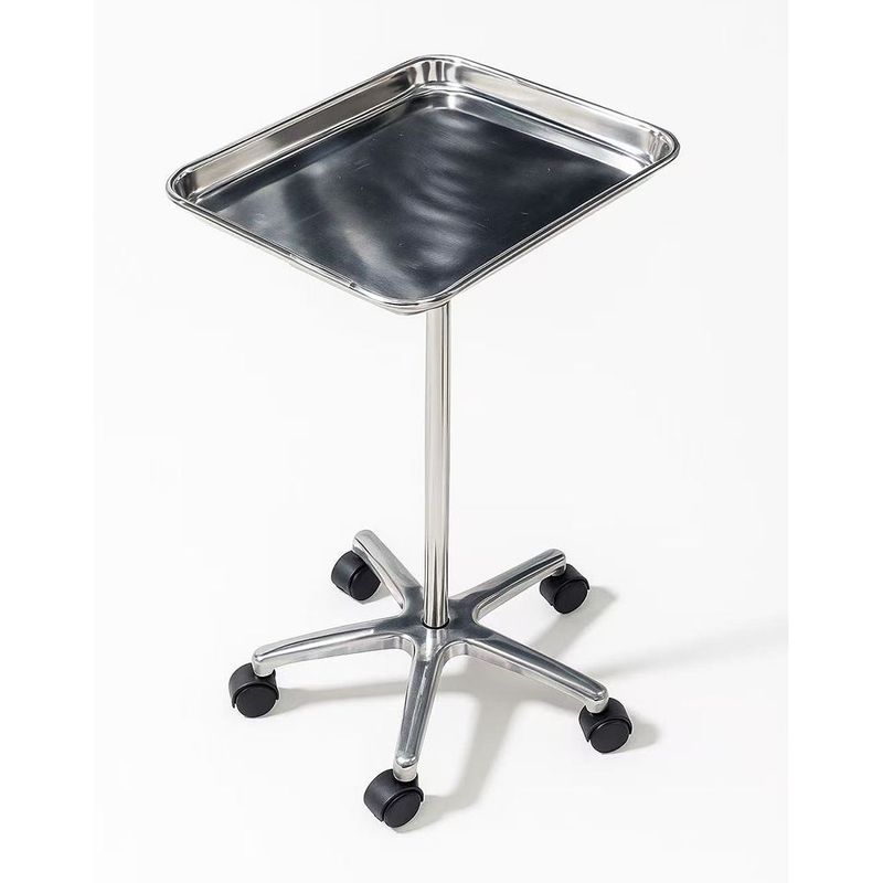 Rolling Stainless Steel Tray Station