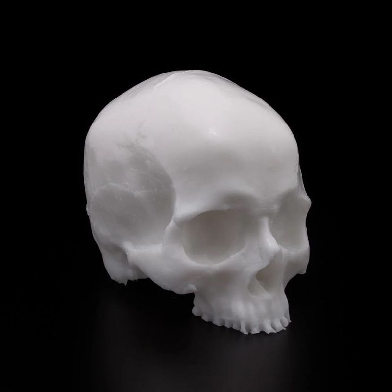APOF Yorick Skull Original Tone